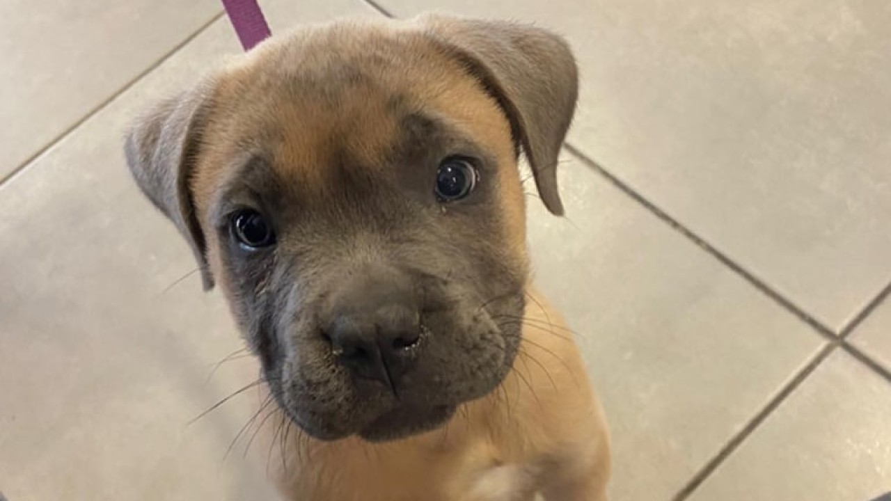 un patient adorable